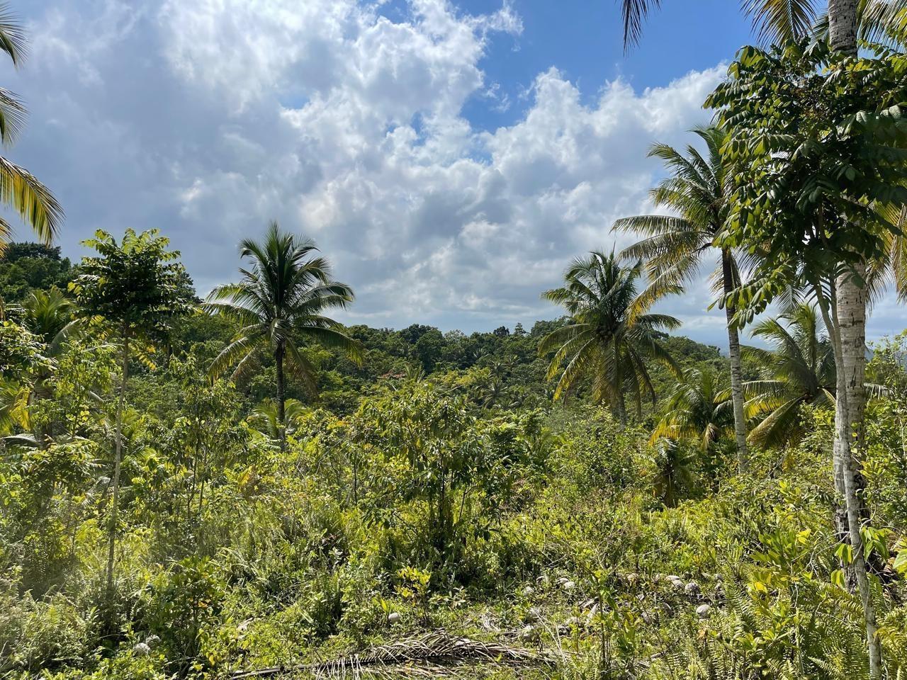 Second image of Union Hill in Union Hill, St. Mary, Jamaica - property is For Sale