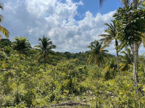 Second image of Union Hill in Union Hill, St. Mary, Jamaica - property is For Sale