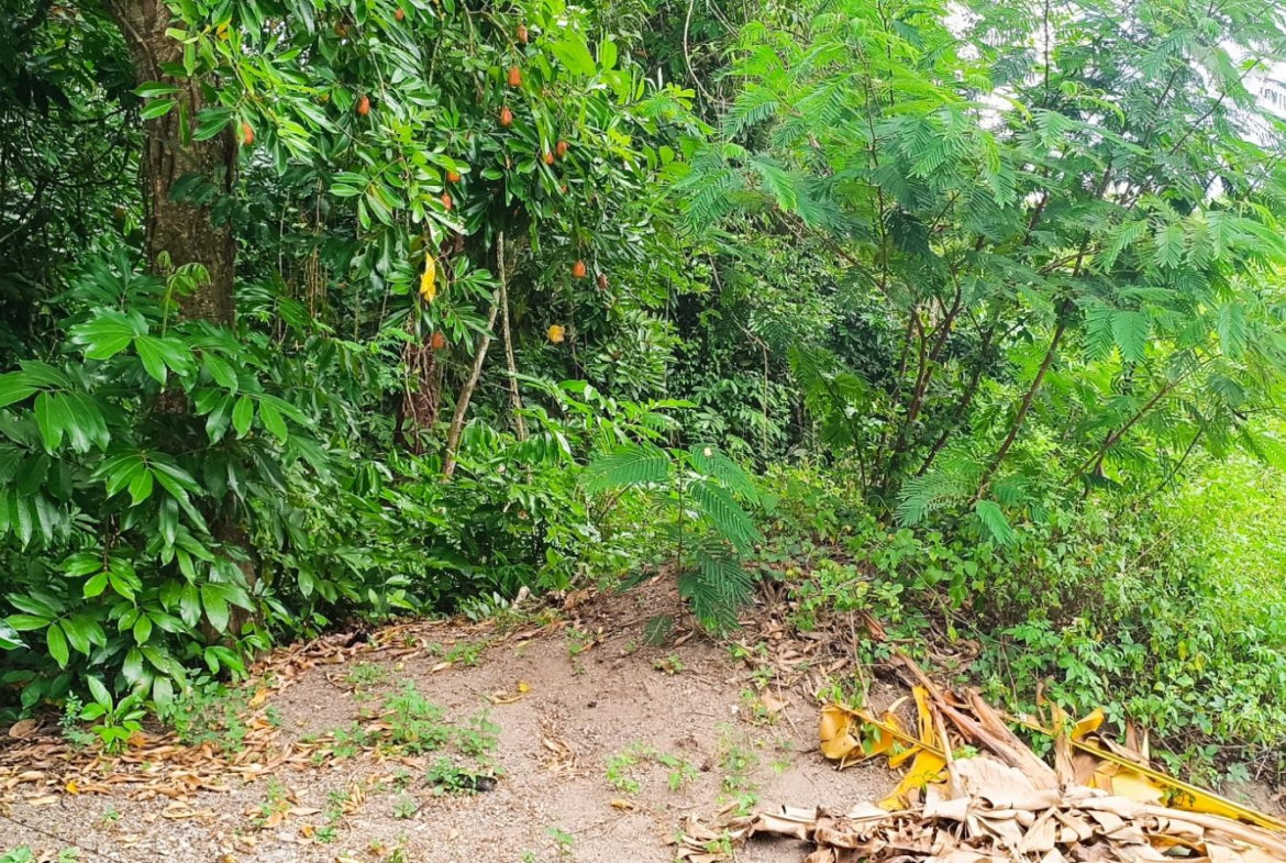 Sixteenth image of 78 Rosend Main Road in Rosend, St. Mary, Jamaica - property is For Sale