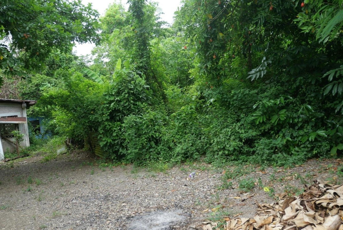 Twenty-First image of 78 Rosend Main Road in Rosend, St. Mary, Jamaica - property is For Sale