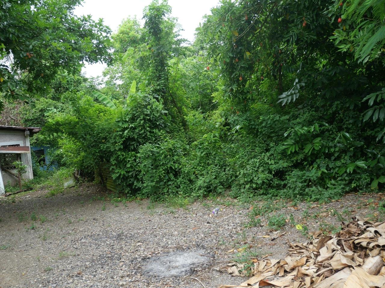 Twenty-First image of 78 Rosend Main Road in Rosend, St. Mary, Jamaica - property is For Sale