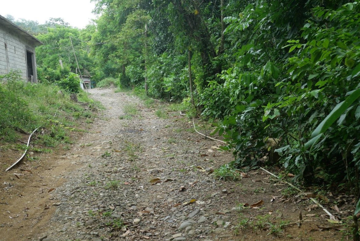 Twenty-Second image of 78 Rosend Main Road in Rosend, St. Mary, Jamaica - property is For Sale