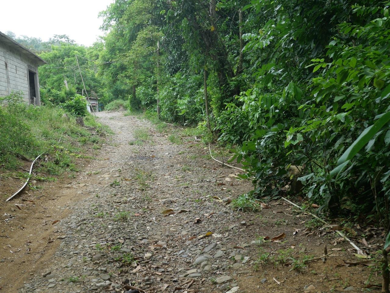 Twenty-Second image of 78 Rosend Main Road in Rosend, St. Mary, Jamaica - property is For Sale