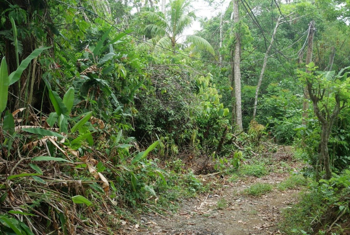 Twenty-Fourth image of 78 Rosend Main Road in Rosend, St. Mary, Jamaica - property is For Sale