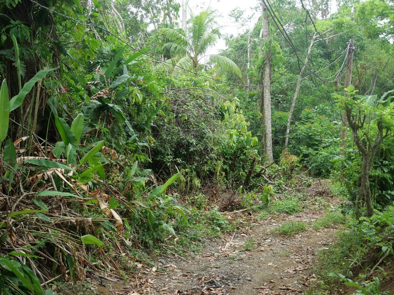 Twenty-Fourth image of 78 Rosend Main Road in Rosend, St. Mary, Jamaica - property is For Sale