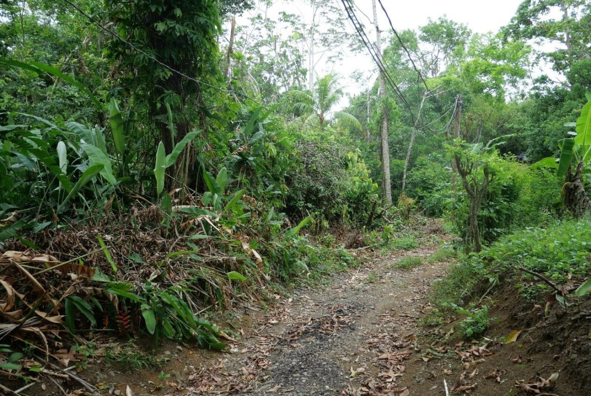 Twenty-Fifth image of 78 Rosend Main Road in Rosend, St. Mary, Jamaica - property is For Sale