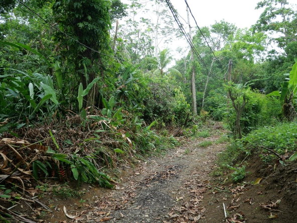Twenty-Fifth image of 78 Rosend Main Road in Rosend, St. Mary, Jamaica - property is For Sale