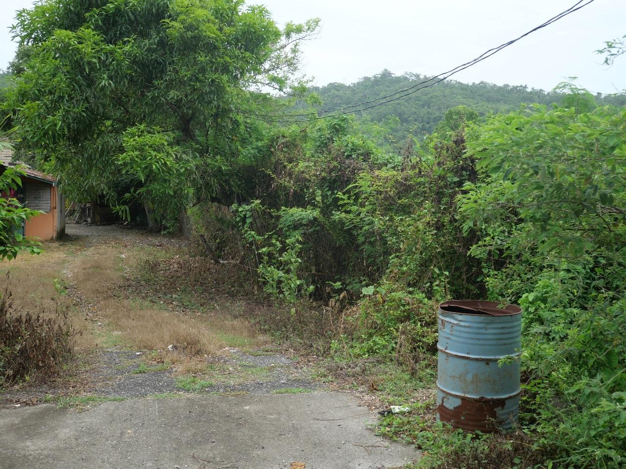 Twenty-Sixth image of 78 Rosend Main Road in Rosend, St. Mary, Jamaica - property is For Sale