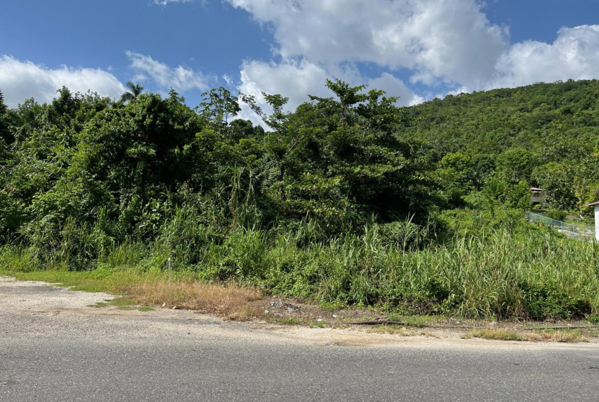 Second image of mt Pleasant, Westmoreland in White House WD, Westmoreland, Jamaica - property is For Sale