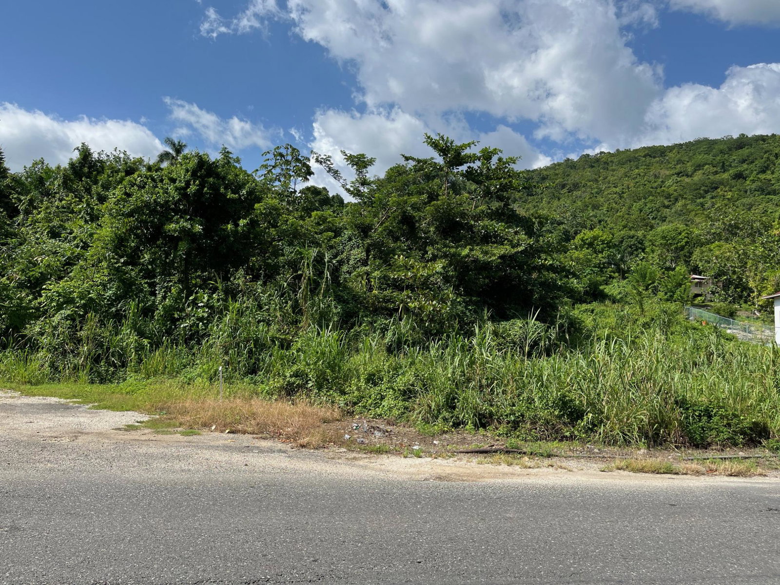 Second image of mt Pleasant, Westmoreland in White House WD, Westmoreland, Jamaica - property is For Sale