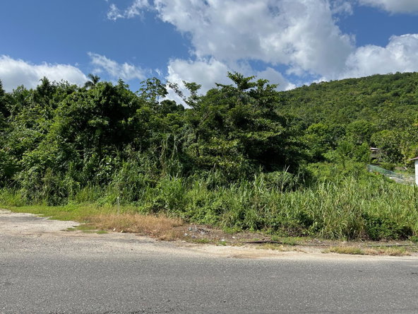 Second image of mt Pleasant, Westmoreland in White House WD, Westmoreland, Jamaica - property is For Sale