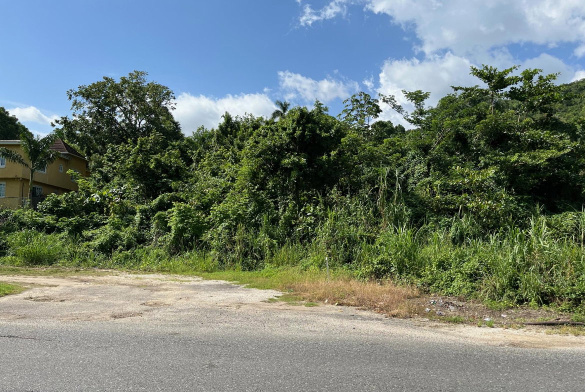 First image of mt Pleasant, Westmoreland in White House WD, Westmoreland, Jamaica - property is For Sale