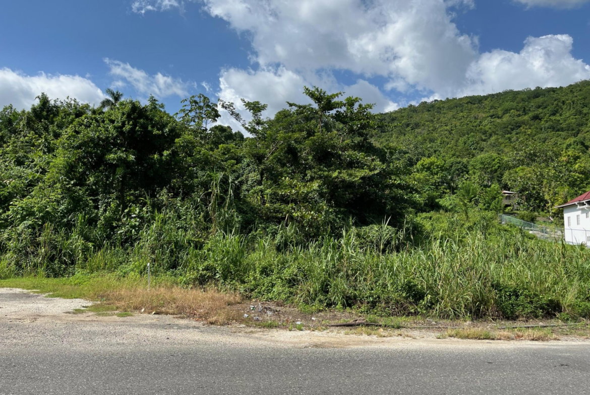 Fourteenth image of mt Pleasant, Westmoreland in White House WD, Westmoreland, Jamaica - property is For Sale