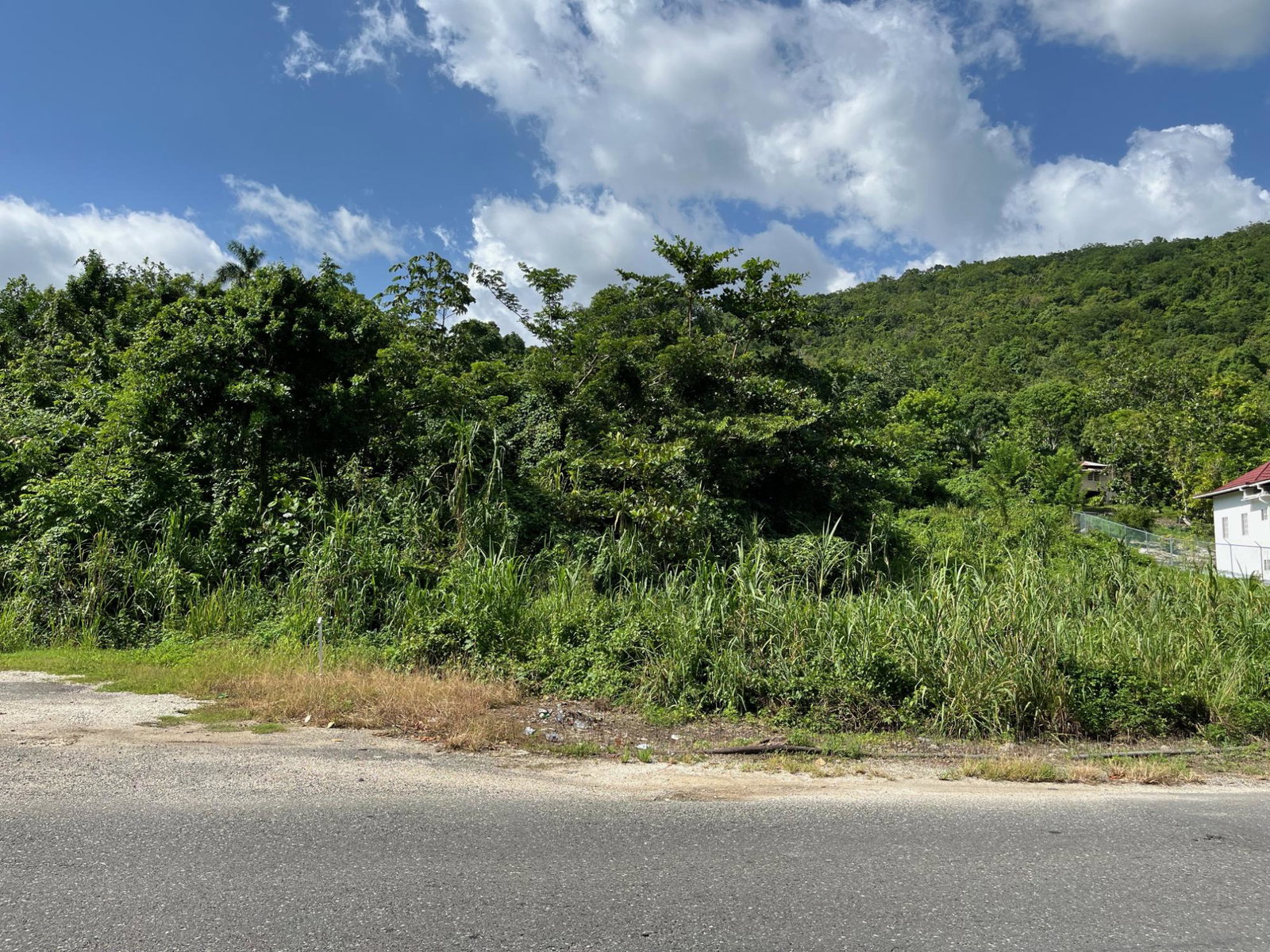 Fourteenth image of mt Pleasant, Westmoreland in White House WD, Westmoreland, Jamaica - property is For Sale