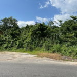 First image of mt Pleasant, Westmoreland in White House WD, Westmoreland, Jamaica - property is For Sale