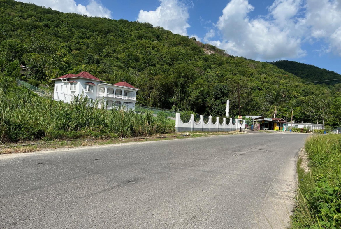 Third image of mt Pleasant, Westmoreland in White House WD, Westmoreland, Jamaica - property is For Sale