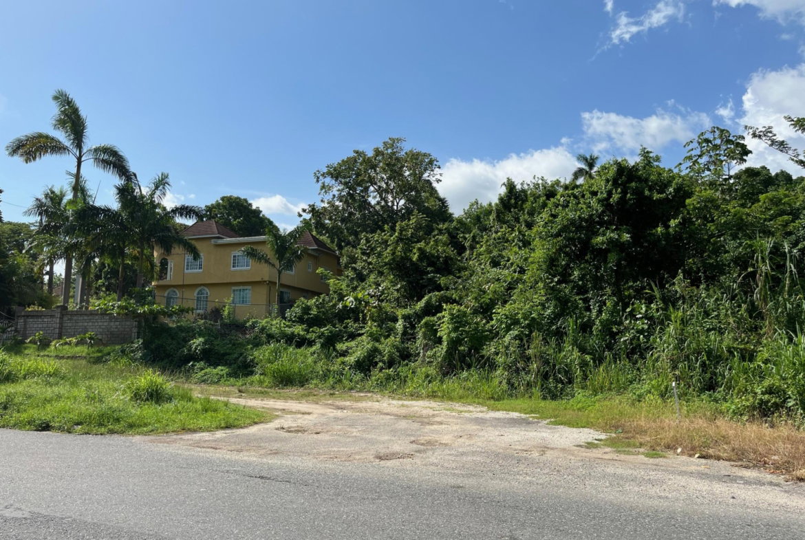 Fifth image of mt Pleasant, Westmoreland in White House WD, Westmoreland, Jamaica - property is For Sale