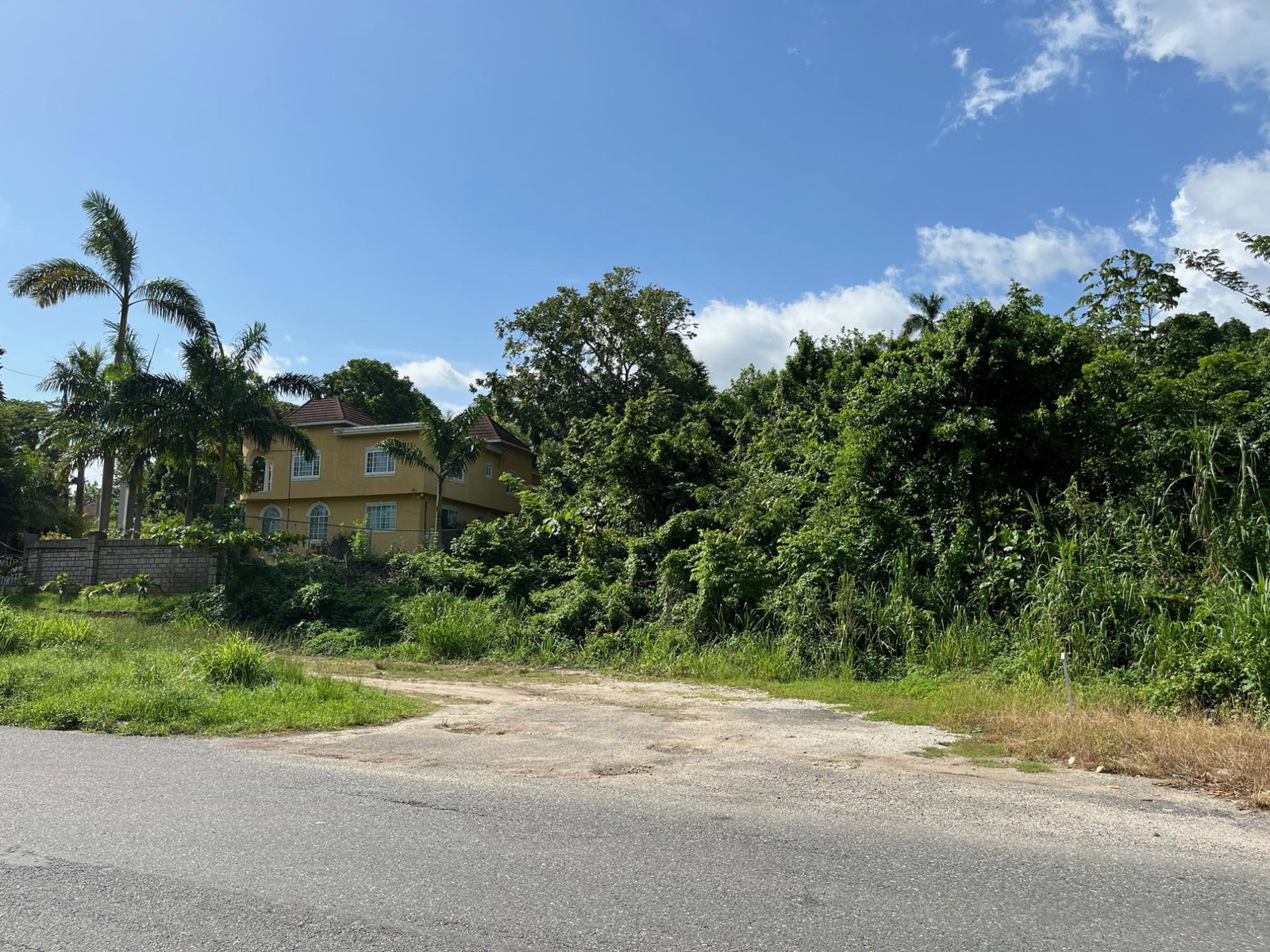 Fifth image of mt Pleasant, Westmoreland in White House WD, Westmoreland, Jamaica - property is For Sale