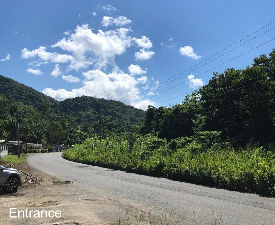 Sixth image of mt Pleasant, Westmoreland in White House WD, Westmoreland, Jamaica - property is For Sale