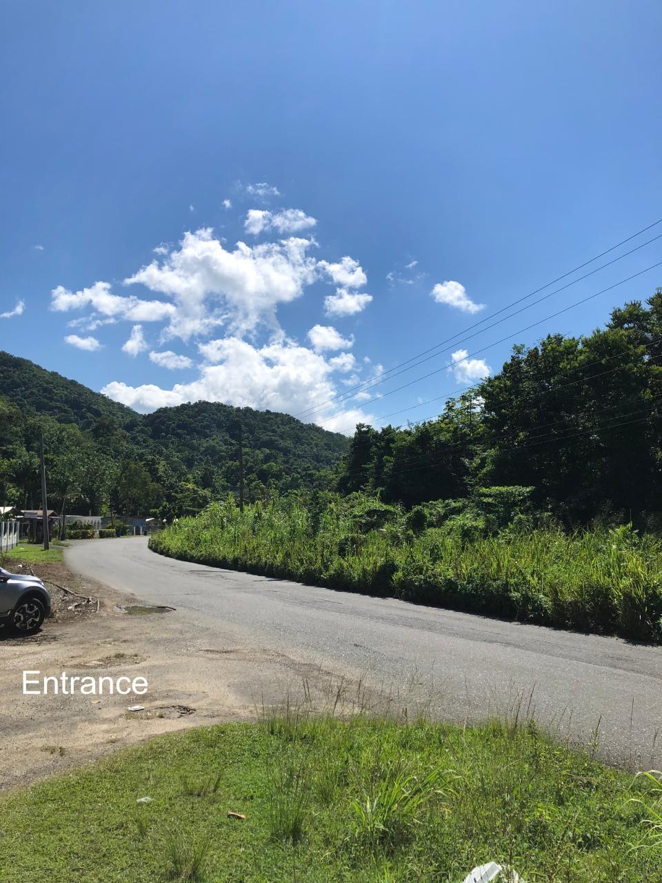 Sixth image of mt Pleasant, Westmoreland in White House WD, Westmoreland, Jamaica - property is For Sale
