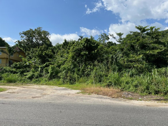 First image of mt Pleasant, Westmoreland in White House WD, Westmoreland, Jamaica - property is For Sale