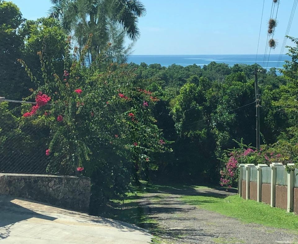 Ninth image of mt Pleasant, Westmoreland in White House WD, Westmoreland, Jamaica - property is For Sale