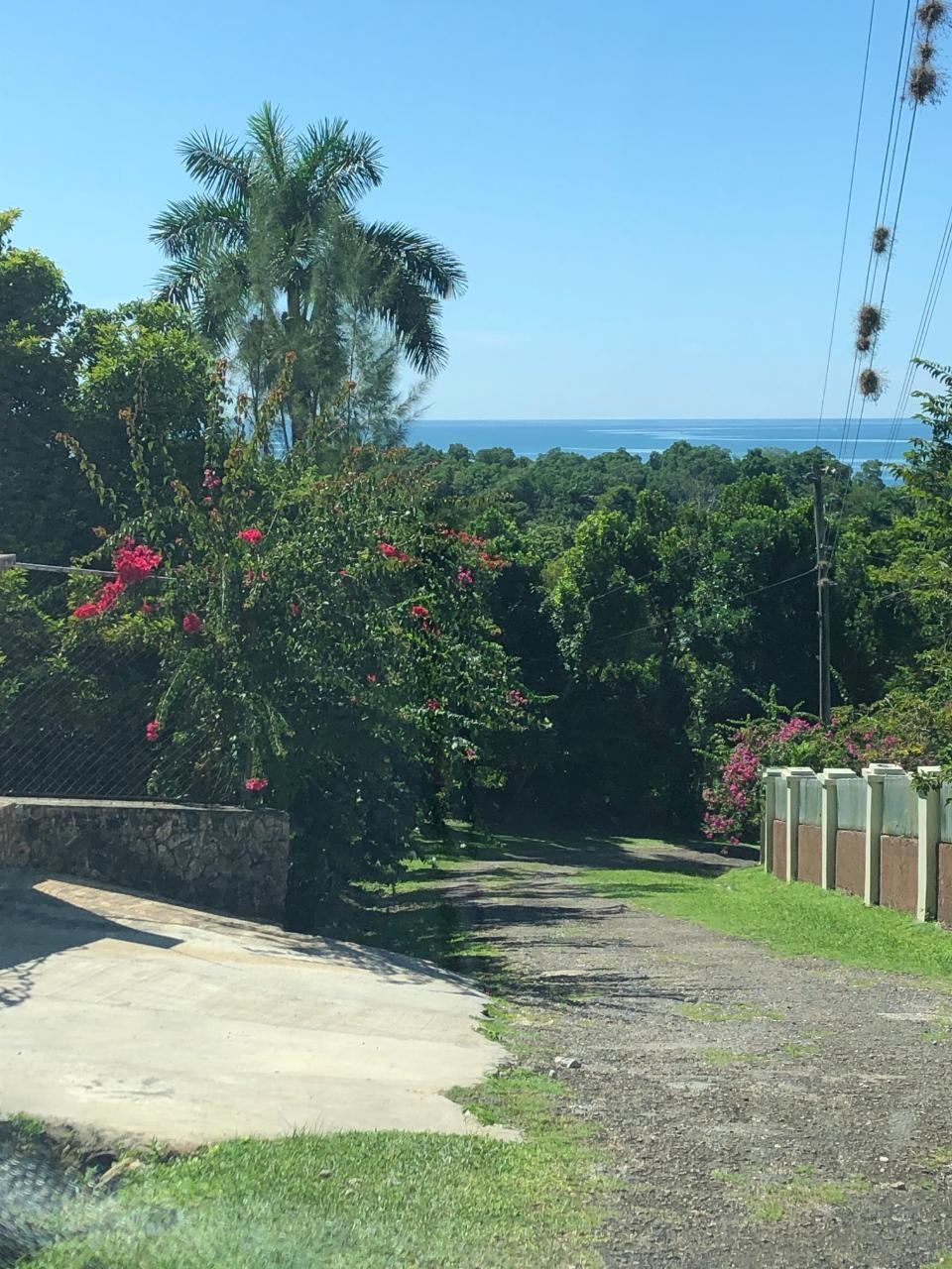 Ninth image of mt Pleasant, Westmoreland in White House WD, Westmoreland, Jamaica - property is For Sale