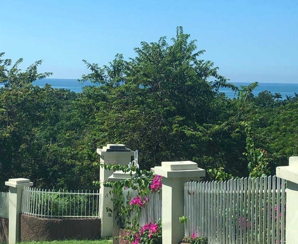 Tenth image of mt Pleasant, Westmoreland in White House WD, Westmoreland, Jamaica - property is For Sale