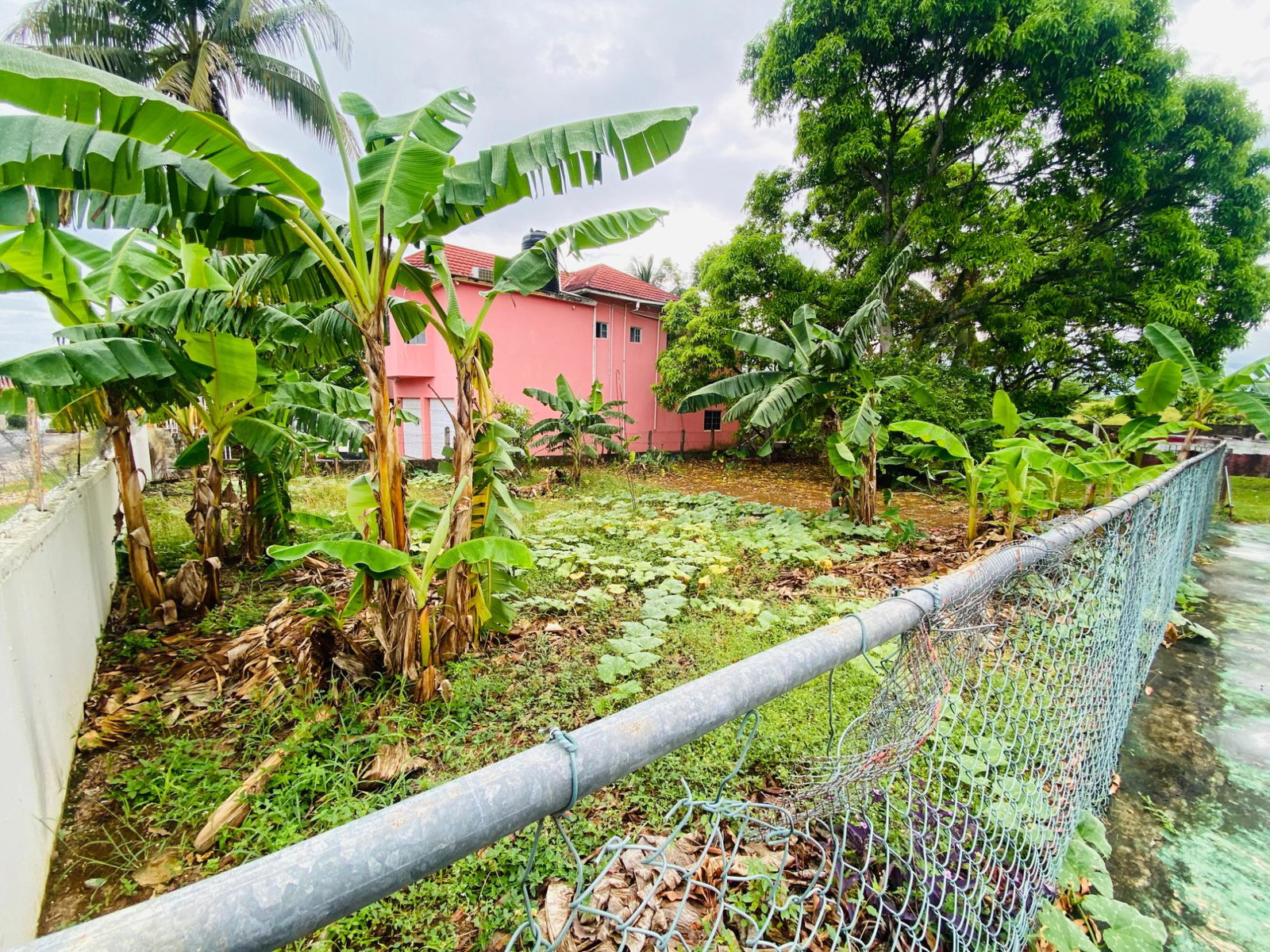 Seventeenth image of 298-299 Oak Drive in Santa Cruz, St. Elizabeth, Jamaica - property is For Sale