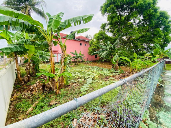 Seventeenth image of 298-299 Oak Drive in Santa Cruz, St. Elizabeth, Jamaica - property is For Sale