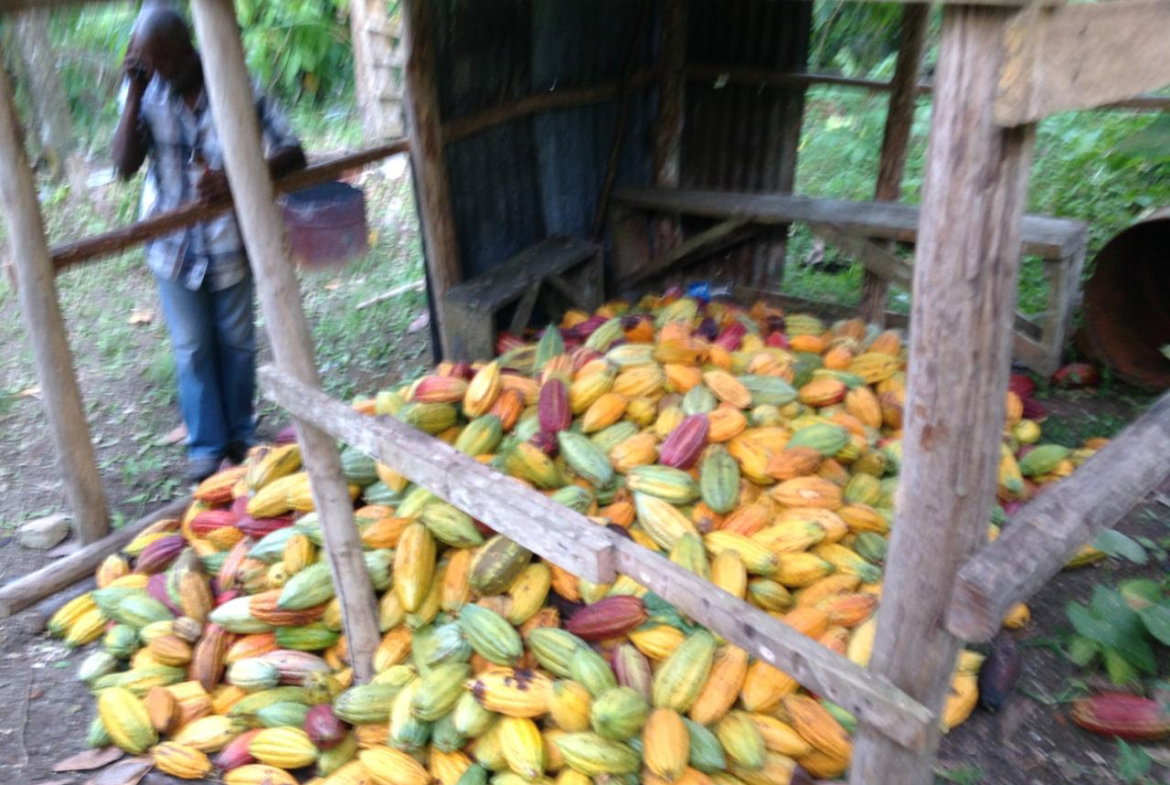 Second image of 161 Pt. Hopewell in Highgate, St. Mary, Jamaica - property is For Sale