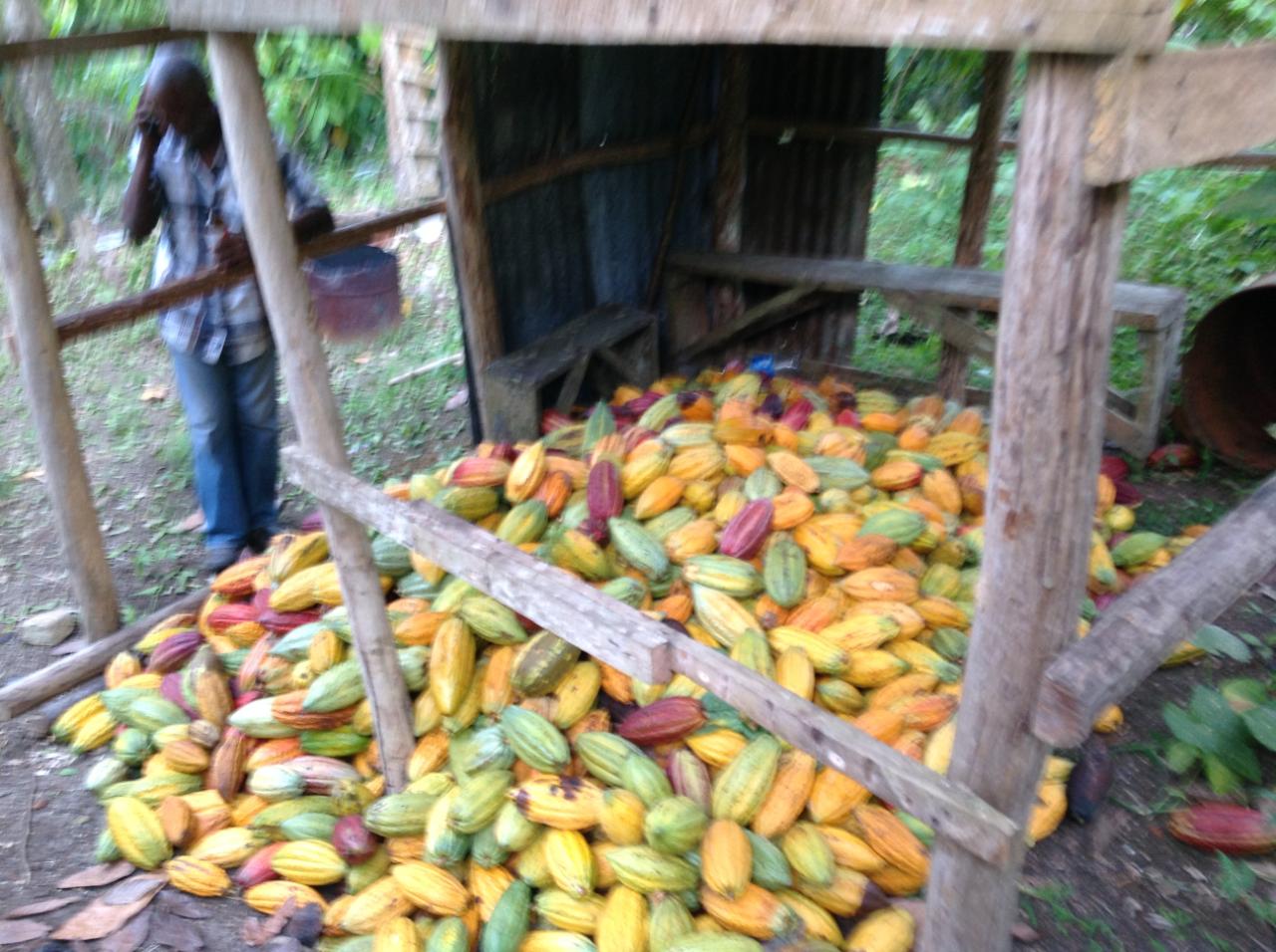 Second image of 161 Pt. Hopewell in Highgate, St. Mary, Jamaica - property is For Sale