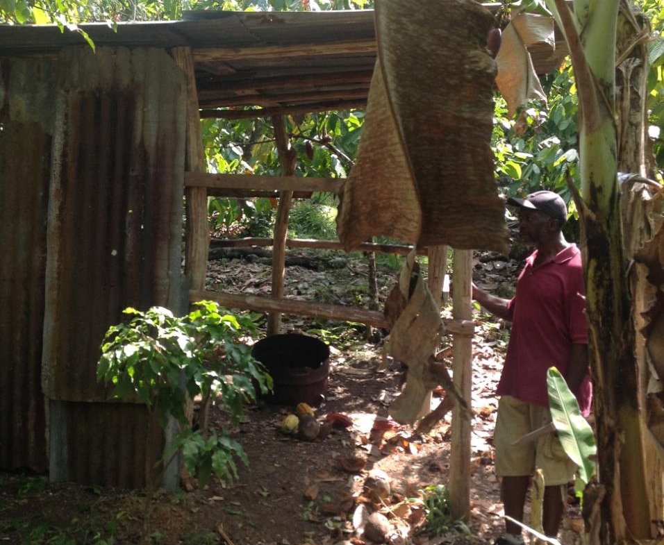 Twelfth image of 161 Pt. Hopewell in Highgate, St. Mary, Jamaica - property is For Sale