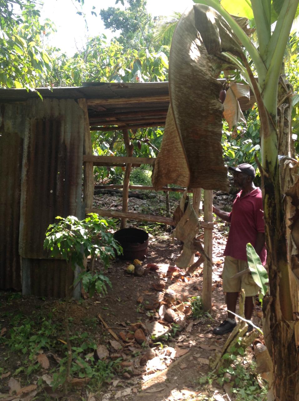 Twelfth image of 161 Pt. Hopewell in Highgate, St. Mary, Jamaica - property is For Sale