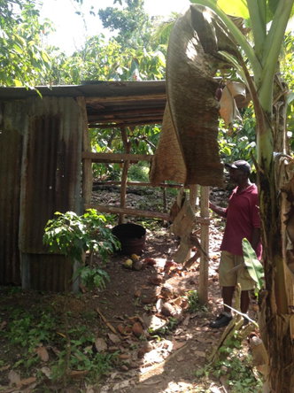 Twelfth image of 161 Pt. Hopewell in Highgate, St. Mary, Jamaica - property is For Sale