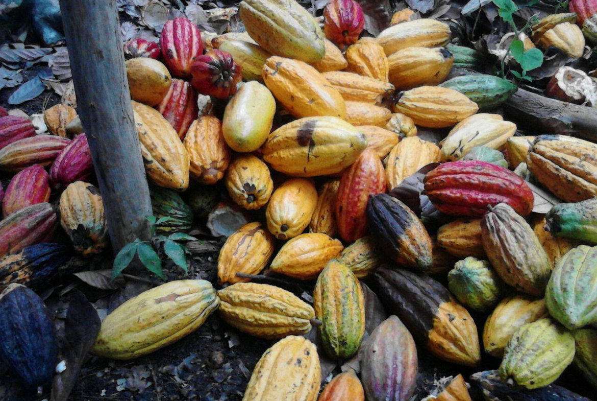 Third image of 161 Pt. Hopewell in Highgate, St. Mary, Jamaica - property is For Sale