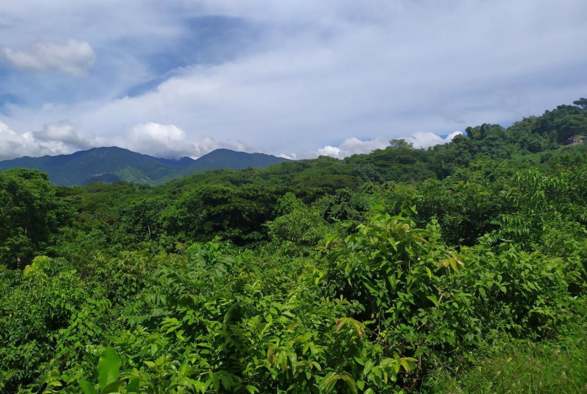 First image of Spring Garden, st Thomas in Spring Garden, St. Thomas, Jamaica - property is For Sale