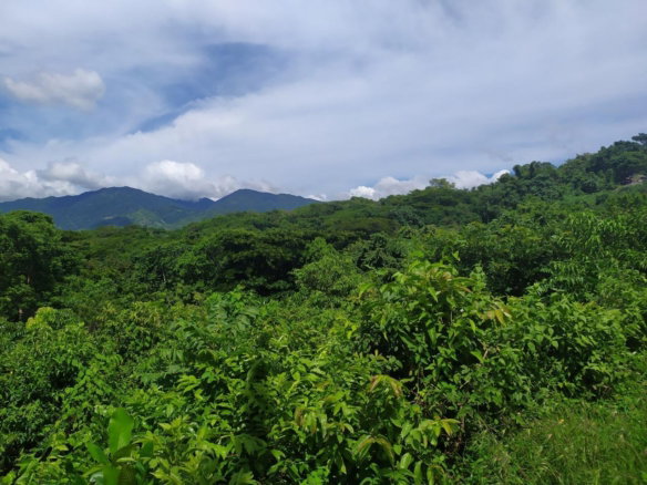 First image of Spring Garden, st Thomas in Spring Garden, St. Thomas, Jamaica - property is For Sale