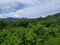 First image of Spring Garden, st Thomas in Spring Garden, St. Thomas, Jamaica - property is For Sale