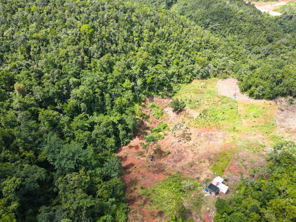 Seventh image of Part of Fergus, Fairfield in Moneague, St. Ann, Jamaica - property is For Sale