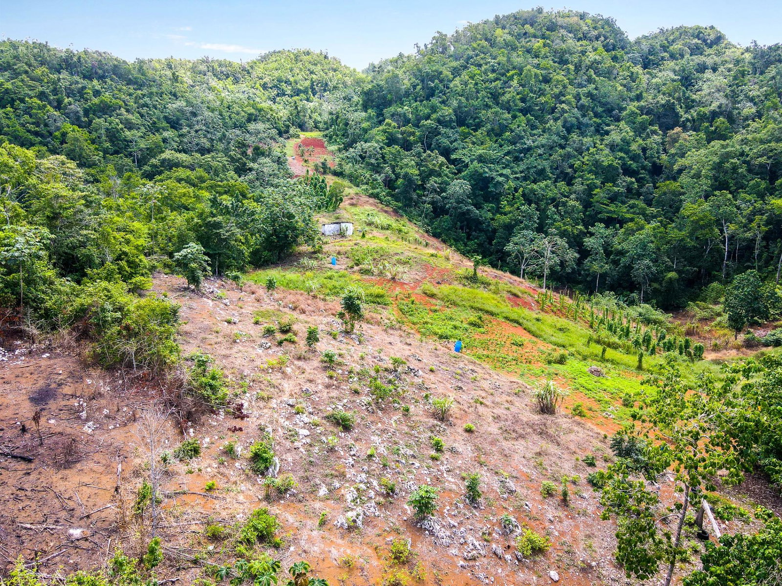 Ninth image of Part of Fergus, Fairfield in Moneague, St. Ann, Jamaica - property is For Sale