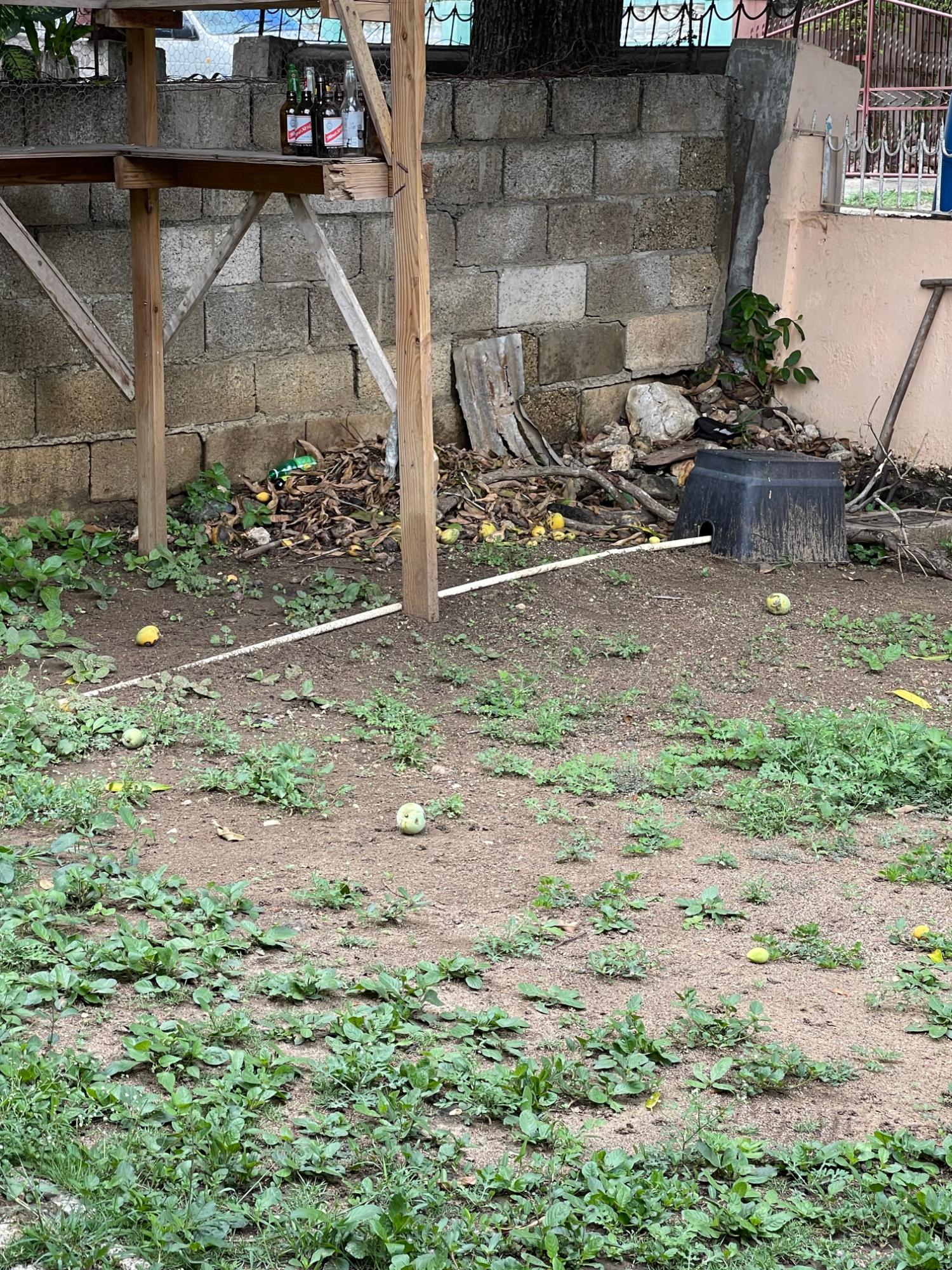 Second image of 12-12 Arnold Road, Oliver Garde in May Pen, Clarendon, Jamaica - property is For Sale