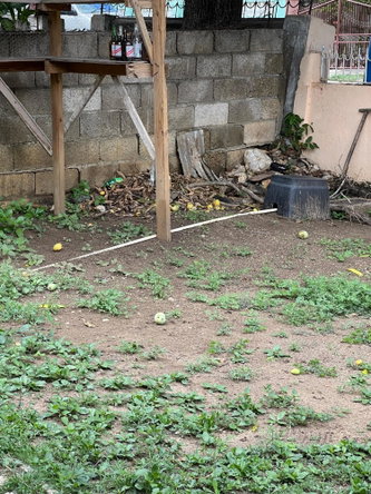 Second image of 12-12 Arnold Road, Oliver Garde in May Pen, Clarendon, Jamaica - property is For Sale