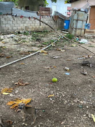 Eleventh image of 12-12 Arnold Road, Oliver Garde in May Pen, Clarendon, Jamaica - property is For Sale