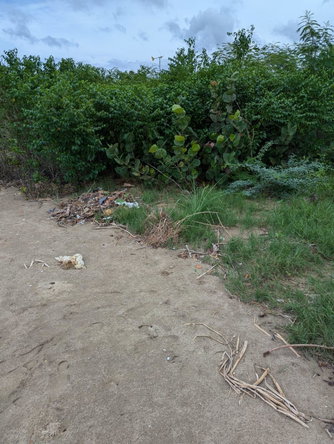 Fifth image of 31 Fullerswood, Black River in Black River, St. Elizabeth, Jamaica - property is For Sale