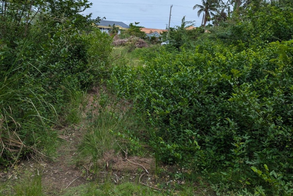 Sixth image of 31 Fullerswood, Black River in Black River, St. Elizabeth, Jamaica - property is For Sale