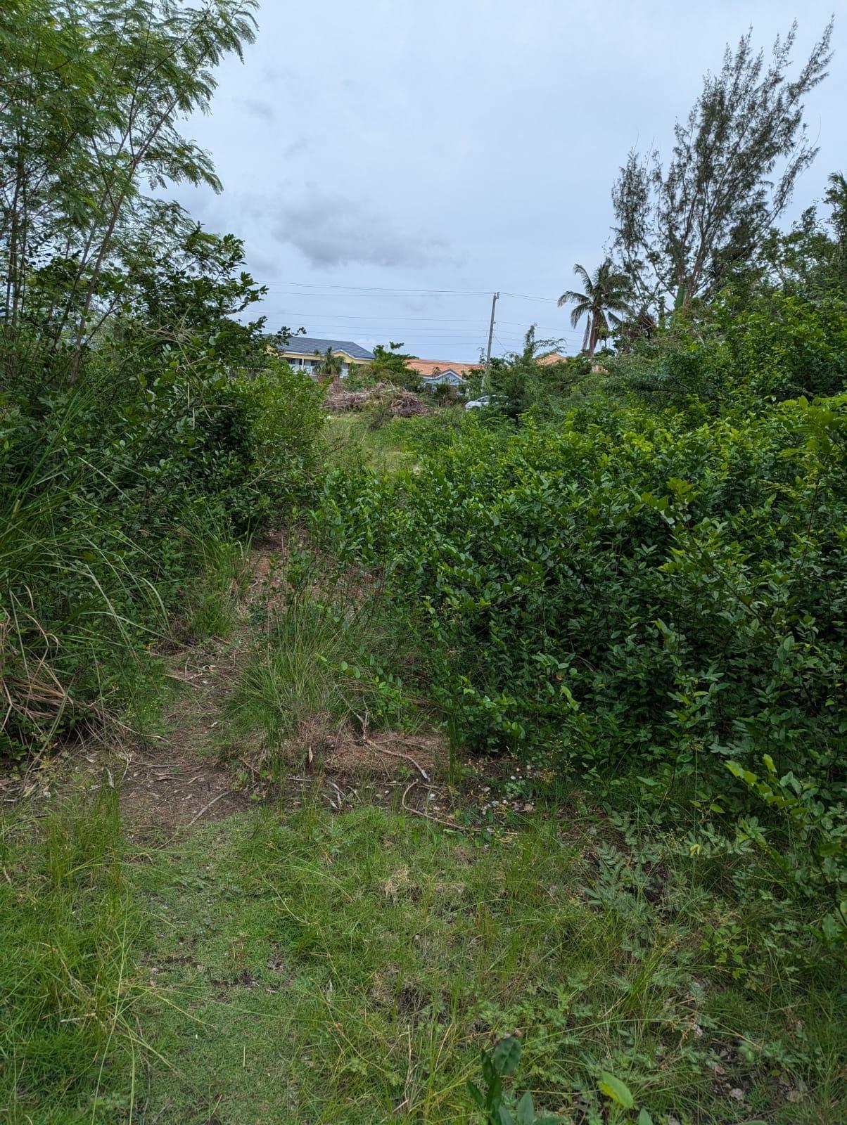 Sixth image of 31 Fullerswood, Black River in Black River, St. Elizabeth, Jamaica - property is For Sale