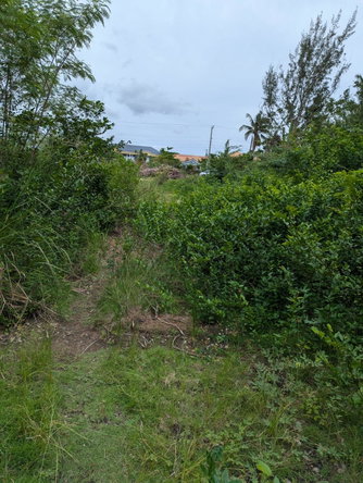 Sixth image of 31 Fullerswood, Black River in Black River, St. Elizabeth, Jamaica - property is For Sale