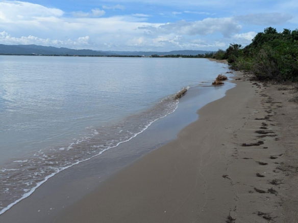 First image of 31 Fullerswood, Black River in Black River, St. Elizabeth, Jamaica - property is For Sale