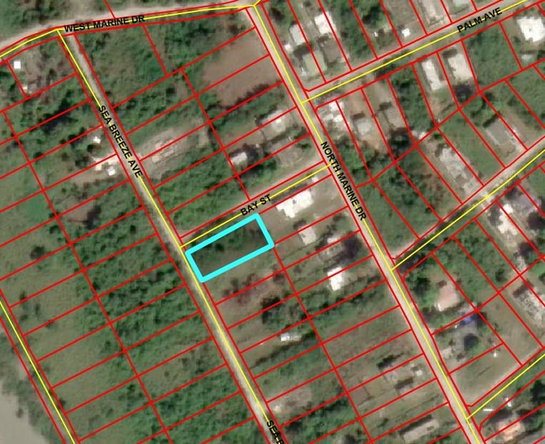 Third image of Lot 29 Albion Estate in Albion, St. Thomas, Jamaica - property is For Sale